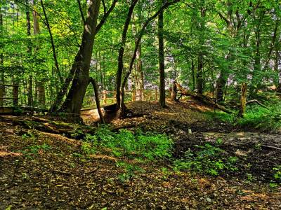 Szwajcaria Rachowica Szwajcaria Rachowica