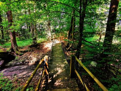 Szwajcaria Rachowica Szwajcaria Rachowica