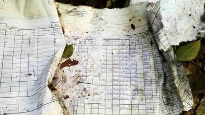 Bażanciarnia Radlin Bażanciarnia Radlin