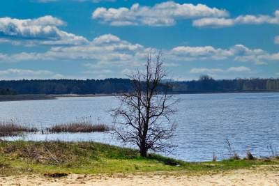 Jezioro Poraj Jezioro Poraj