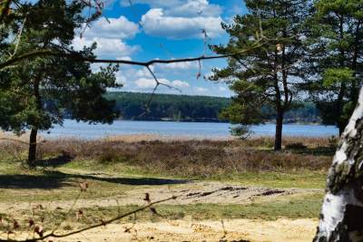 Jezioro Poraj Jezioro Poraj