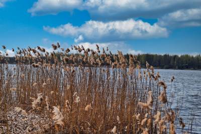 Jezioro Poraj Jezioro Poraj