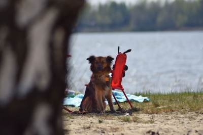 Jezioro Poraj Jezioro Poraj