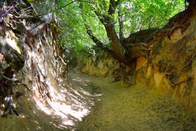 Kazimierz Dolny Kazimierz Dolny