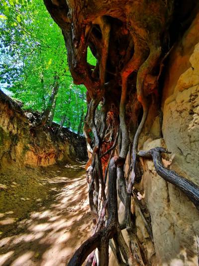 Kazimierz Dolny Kazimierz Dolny