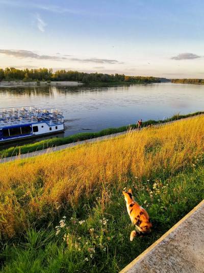 Kazimierz Dolny Kazimierz Dolny