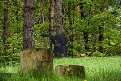 Piwniczna Zdrój Piwniczna Zdrój