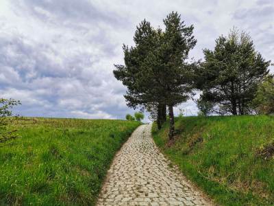 Piwniczna Zdrój Piwniczna Zdrój