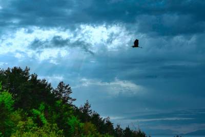 Piwniczna Zdrój Piwniczna Zdrój
