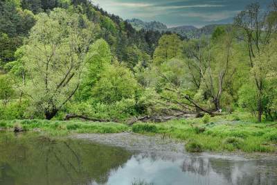 Piwniczna Zdrój Piwniczna Zdrój