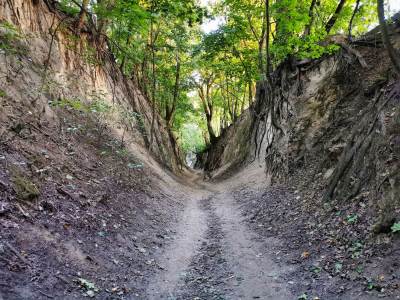 Sandomierz Sandomierz