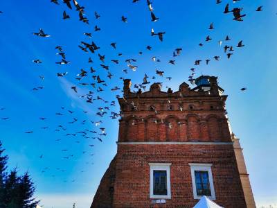 Sandomierz Sandomierz