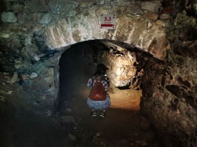 Zamek Krzyżtopór Zamek Krzyżtopór