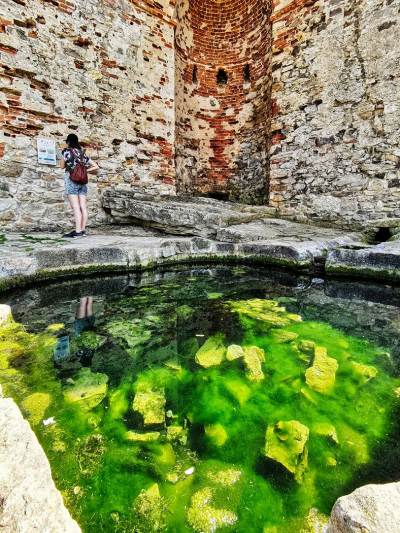 Zamek Krzyżtopór Zamek Krzyżtopór