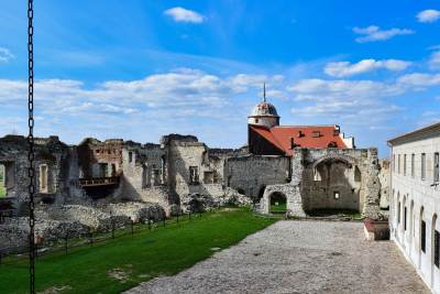 Zamek w Janowcu Zamek w Janowcu