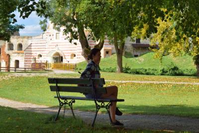 Zamek w Janowcu Zamek w Janowcu