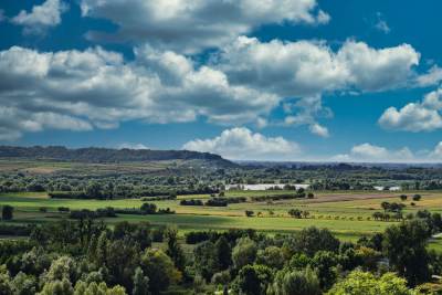 Zamek w Janowcu Zamek w Janowcu