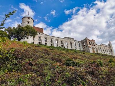 Zamek w Janowcu Zamek w Janowcu