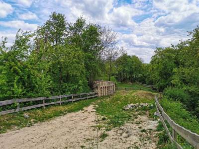 Zamek w Melsztynie Zamek w Melsztynie