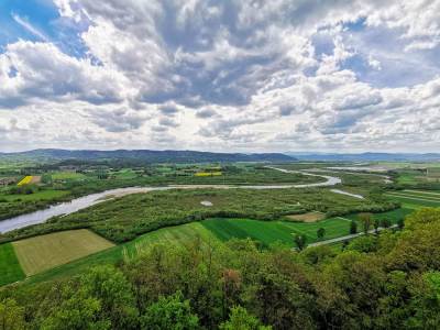 Zamek w Melsztynie Zamek w Melsztynie