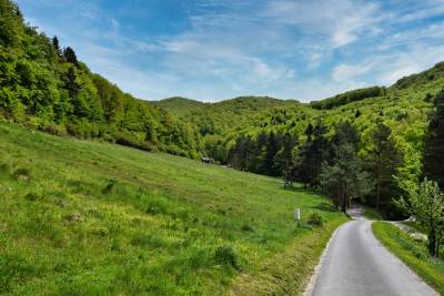 Zamek w Rytrze Zamek w Rytrze