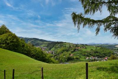 Zamek w Rytrze Zamek w Rytrze