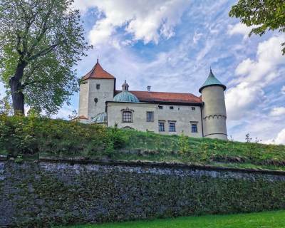 Zamek w Wiśniczu Zamek w Wiśniczu