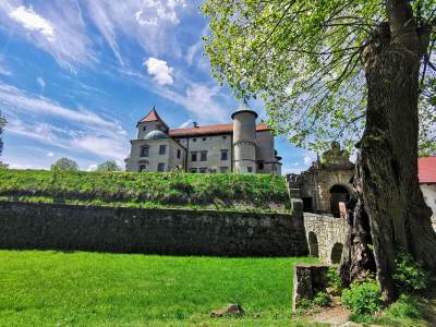 Zamek w Wiśniczu Zamek w Wiśniczu
