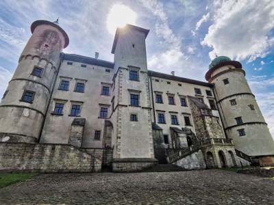 Zamek w Wiśniczu Zamek w Wiśniczu