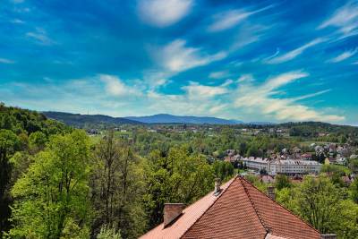 Zamek w Wiśniczu Zamek w Wiśniczu