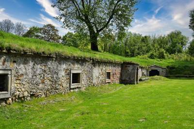Zamek w Wiśniczu Zamek w Wiśniczu