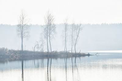 Jezioro Chechło Nakło Jezioro Chechło Nakło