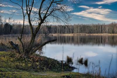 Jezioro Chechło Nakło Jezioro Chechło Nakło