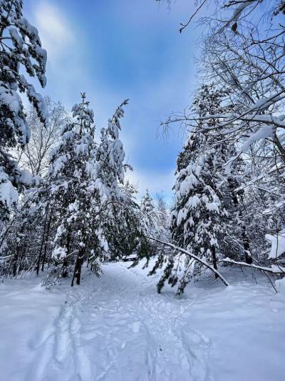 Park Gródek Śląskie Malediwy Park Gródek Śląskie Malediwy