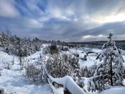Park Gródek Śląskie Malediwy Park Gródek Śląskie Malediwy