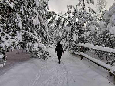 Park Gródek Śląskie Malediwy Park Gródek Śląskie Malediwy