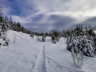 Park Gródek Śląskie Malediwy Park Gródek Śląskie Malediwy