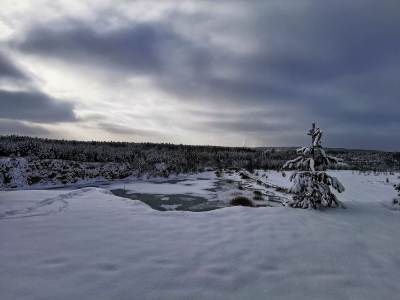 Park Gródek Śląskie Malediwy Park Gródek Śląskie Malediwy