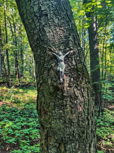 Rezerwat Segiet Rezerwat Segiet