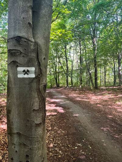 Rezerwat Segiet Rezerwat Segiet