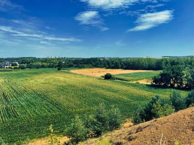 Rezerwat Segiet Rezerwat Segiet