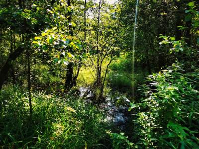 Rezerwat Segiet Rezerwat Segiet