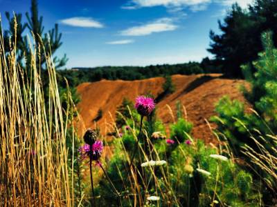 Rezerwat Segiet Rezerwat Segiet