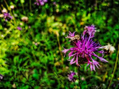 Rezerwat Segiet Rezerwat Segiet