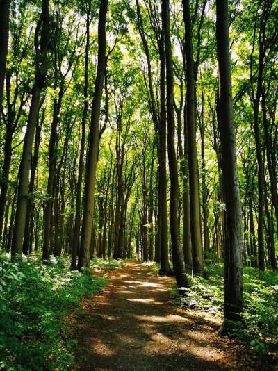 Rezerwat Segiet Rezerwat Segiet