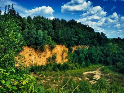 Rezerwat Segiet Rezerwat Segiet