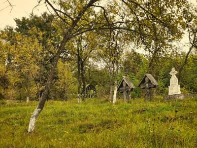 Cerkiew Wejścia Matki Bożej do Kościoła w Bârsana [Biserica Intrarea Maicii Domnului în Biserică]