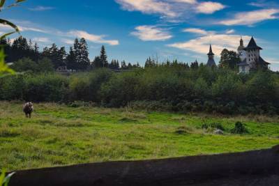 Cascada Măgura Cascada Măgura