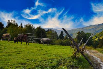 Cascada Măgura Cascada Măgura