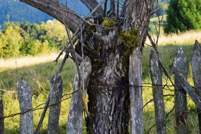Cascada Măgura Cascada Măgura
